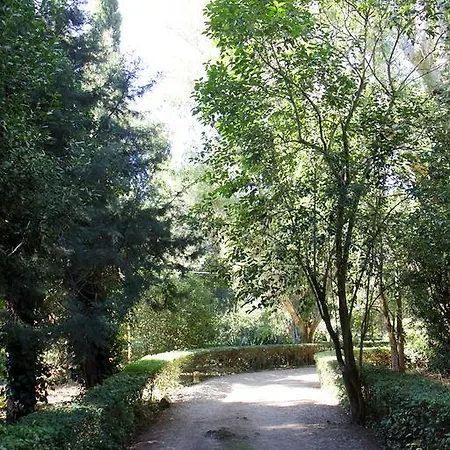 De Giorgi *